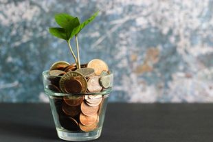 A small plant growing out of a glass full of pennies.